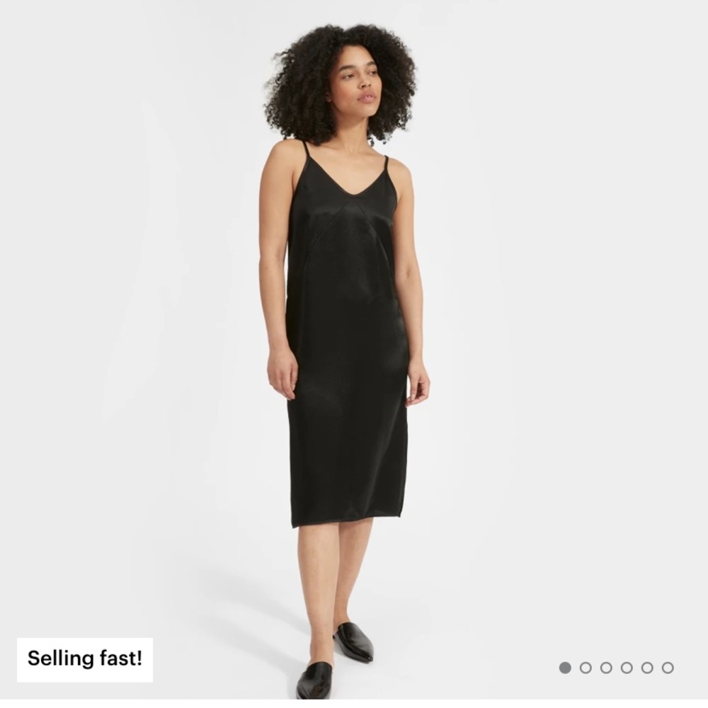 Everlane - The Party Slip Dress